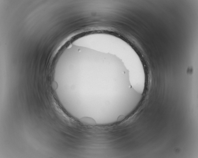 X0000111130828200906301103