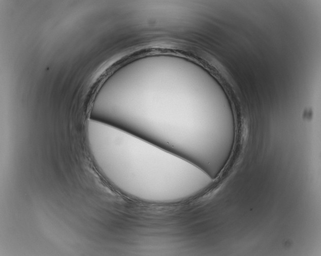 X0000111130829200906301103