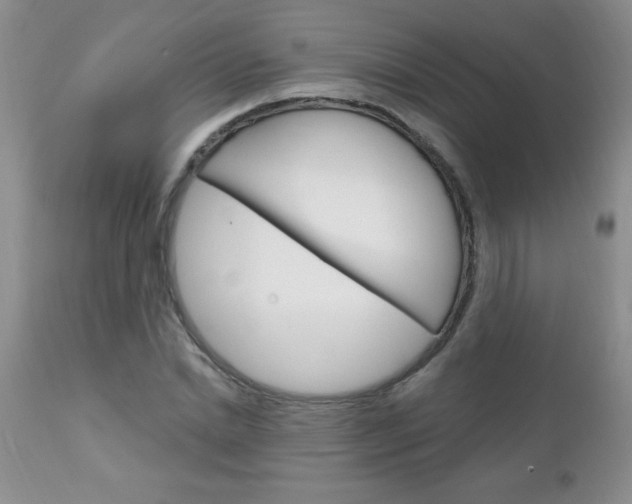 X0000111130830200906301103