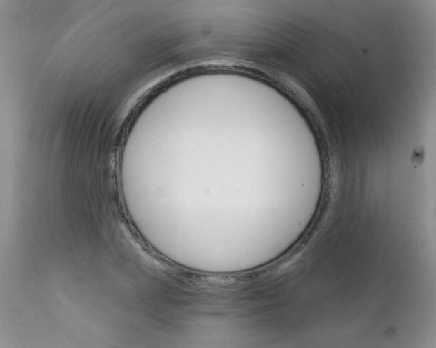 X0000111130831200906301103