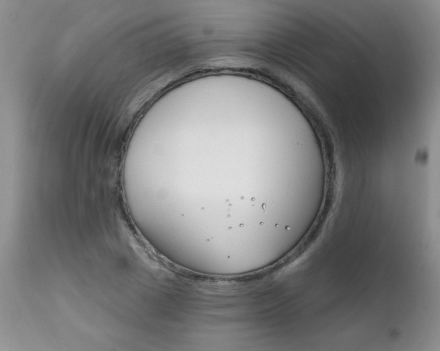 X0000111130833200906301103