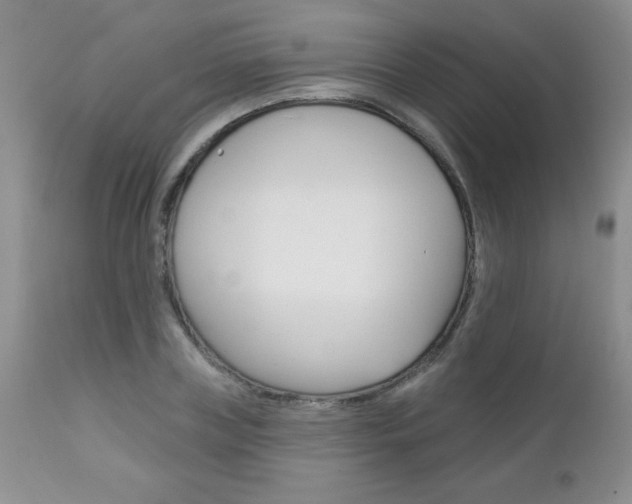 X0000111130835200906301103
