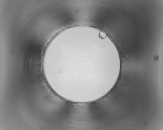 X0000111130836200906301103