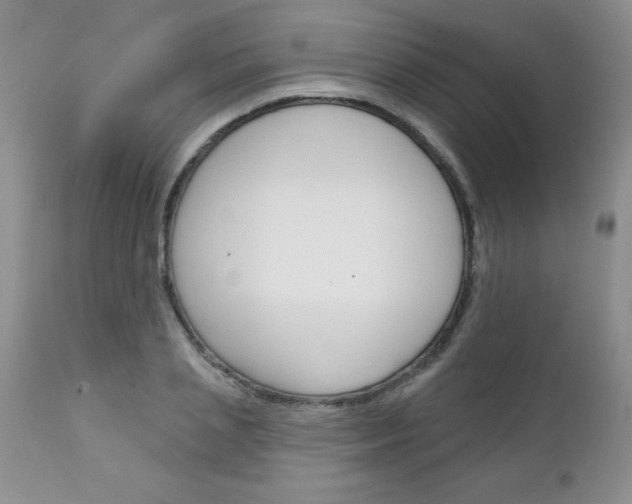 X0000111130837200906301103