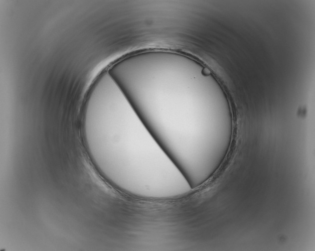 X0000111130838200906301103