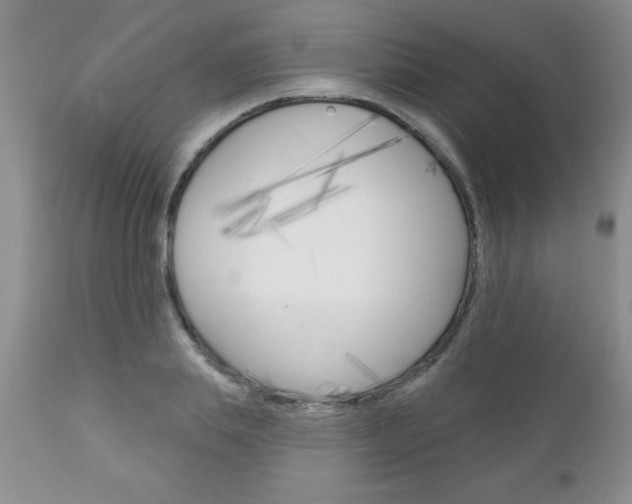 X0000111130839200906301103