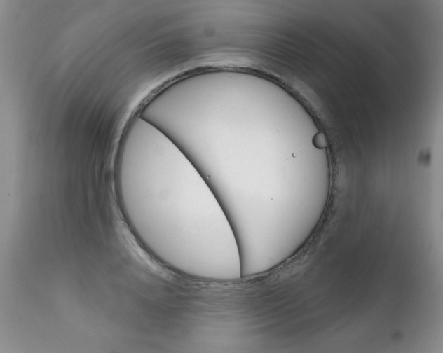 X0000111130840200906301103