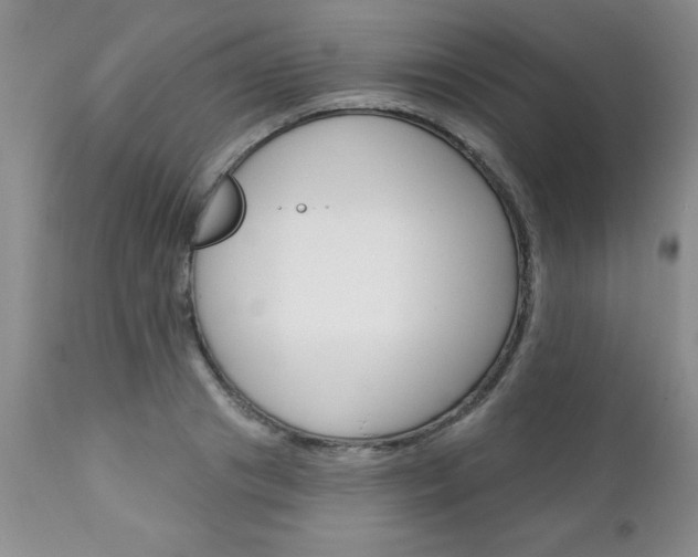 X0000111130841200906301103