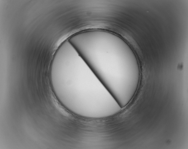 X0000111130842200906301103