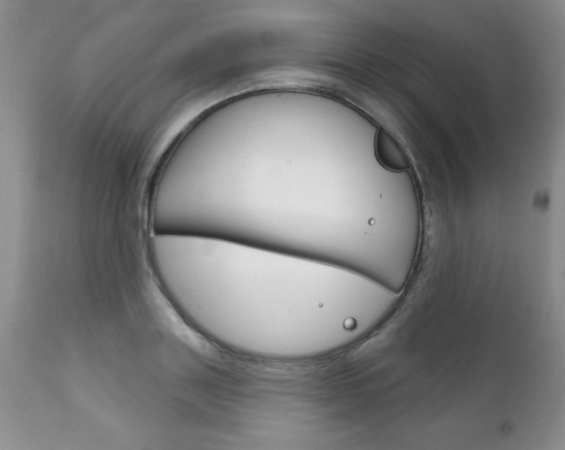 X0000111130843200906301103