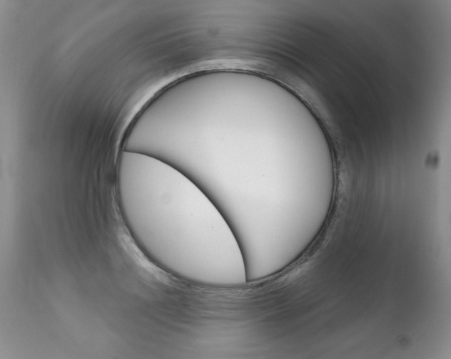 X0000111130844200906301103