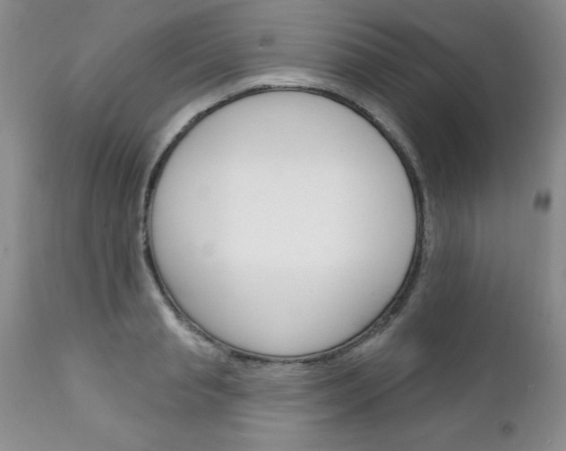 X0000111130845200906301103