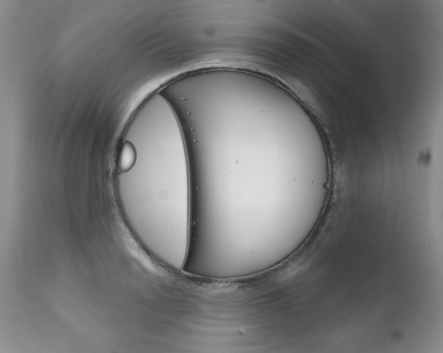 X0000111130846200906301103