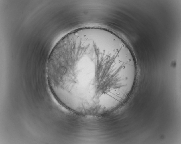 X0000111130847200906301103