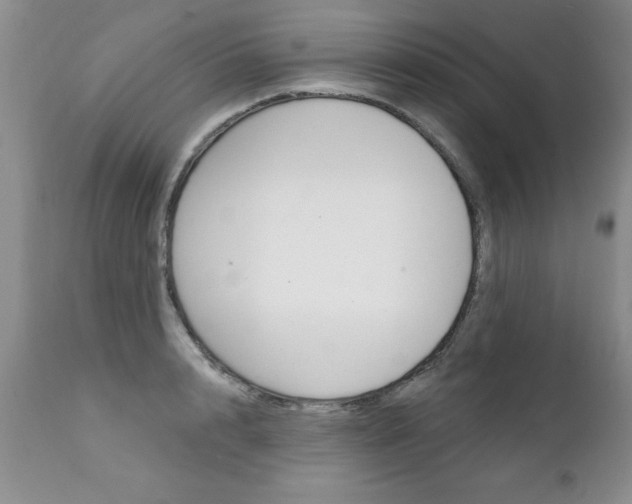 X0000111130848200906301103