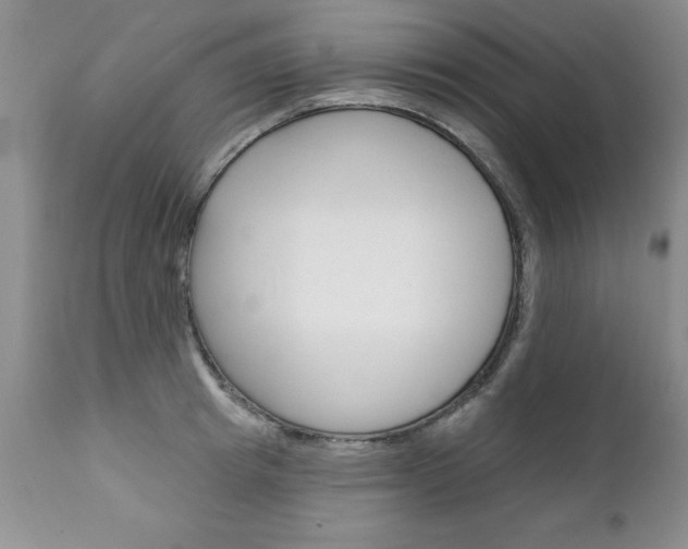 X0000111130849200906301103
