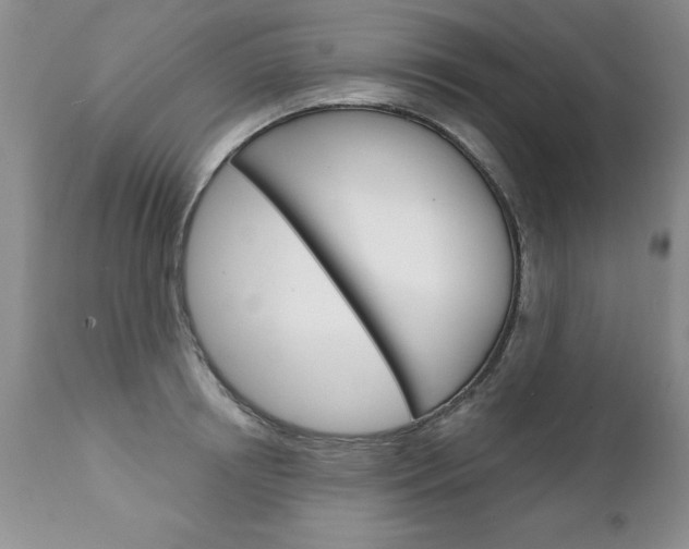 X0000111130850200906301103
