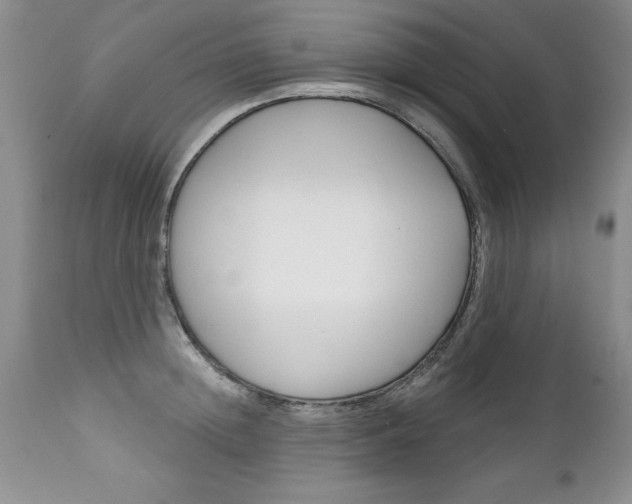 X0000111130852200906301103