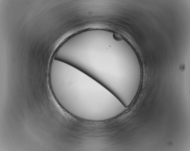 X0000111130853200906301103