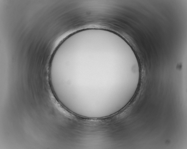 X0000111130854200906301103