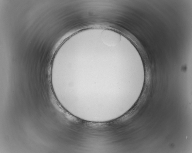 X0000111130856200906301103