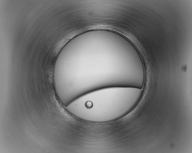 X0000111130857200906301103