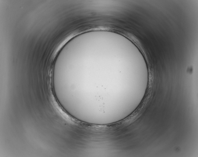 X0000111130859200906301103