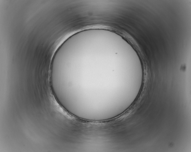 X0000111130860200906301103