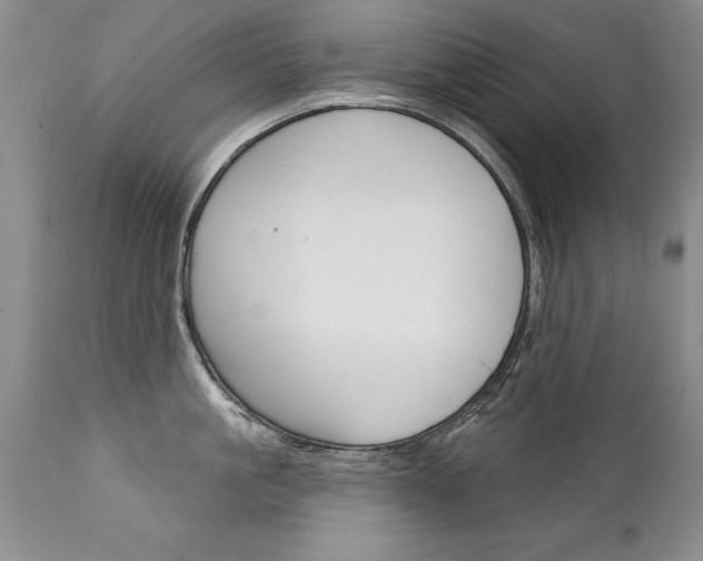 X0000111130861200906301103
