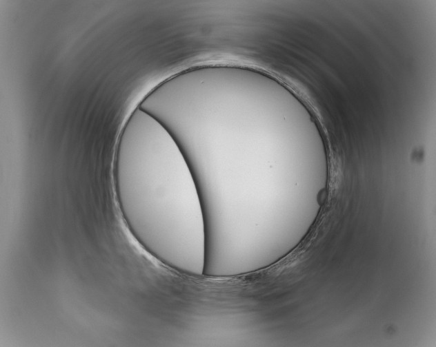 X0000111130863200906301103
