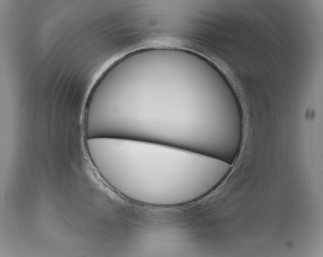 X0000111130864200906301103
