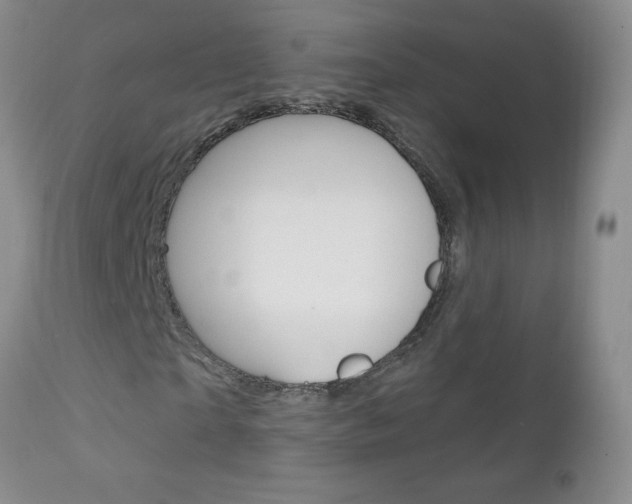 X0000111130865200906301103