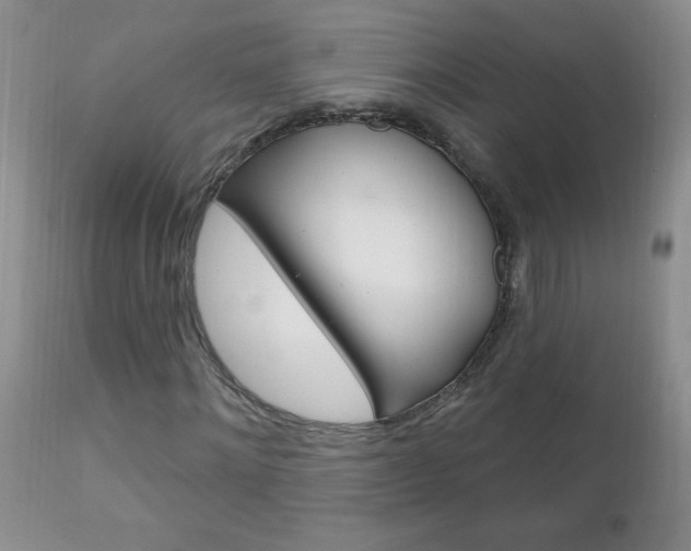 X0000111130868200906301103