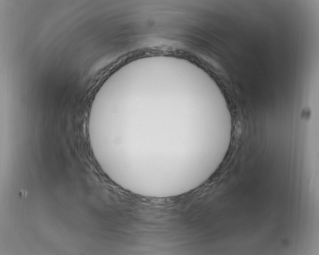 X0000111130869200906301103
