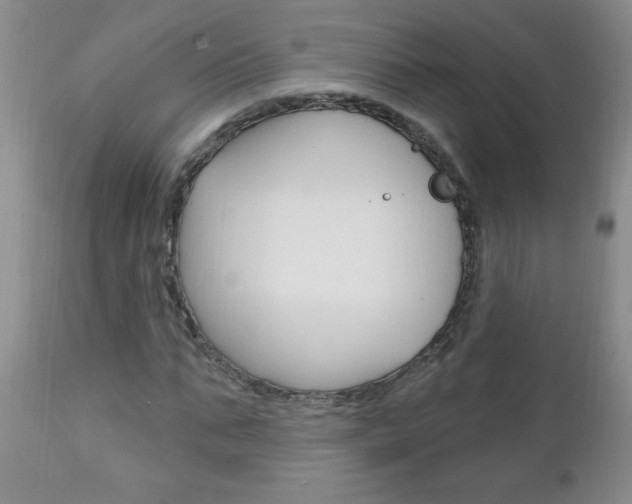 X0000111130871200906301103