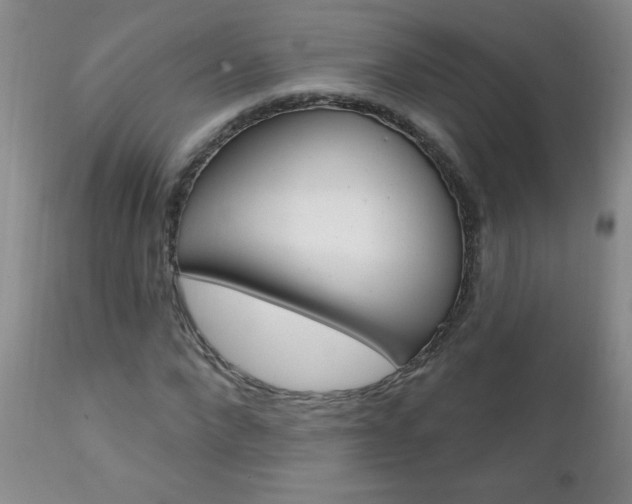 X0000111130872200906301103