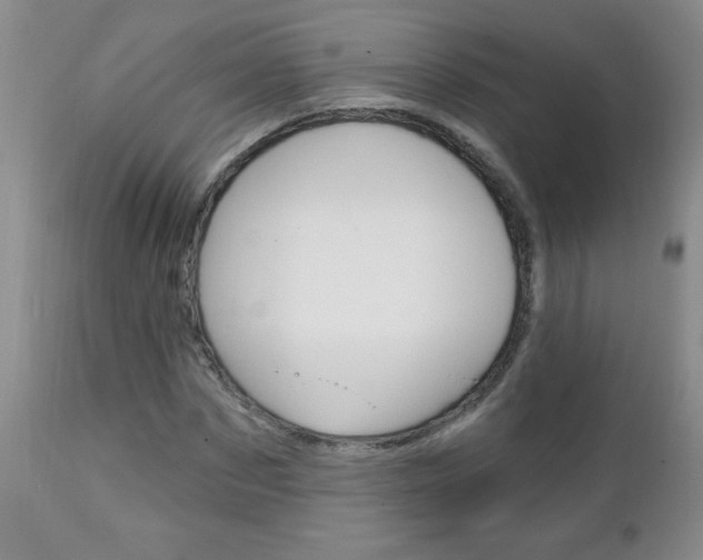X0000111130873200906301103