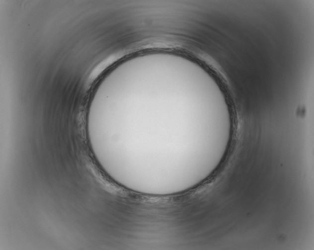 X0000111130874200906301102