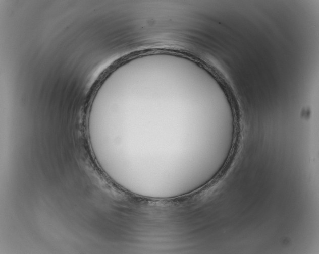X0000111130875200906301102