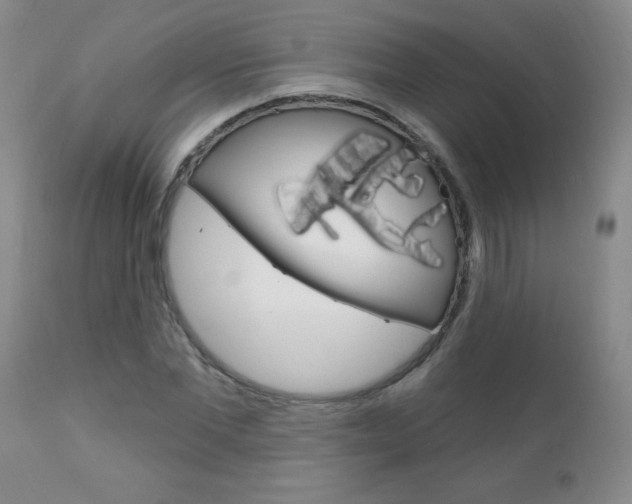 X0000111130877200906301102