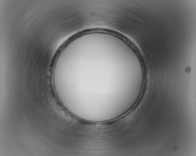 X0000111130879200906301102