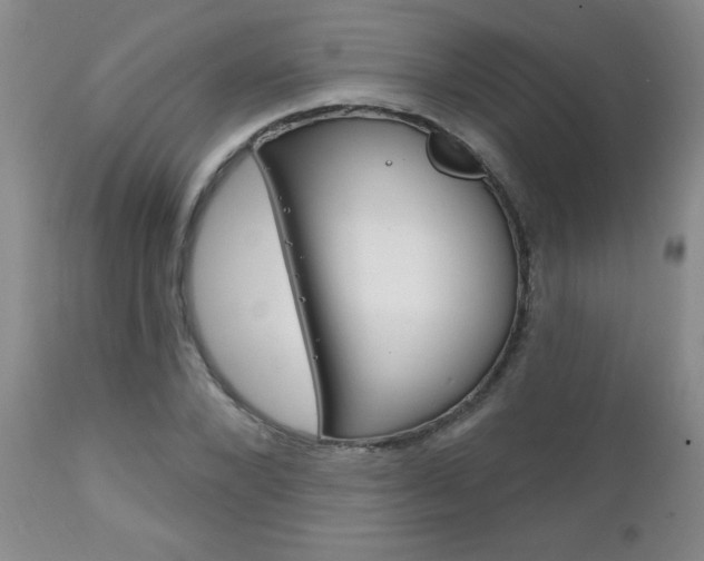 X0000111130880200906301102