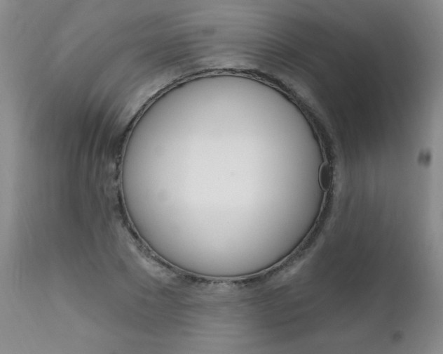 X0000111130881200906301102