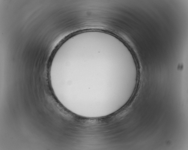 X0000111130883200906301102