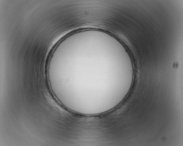 X0000111130884200906301102