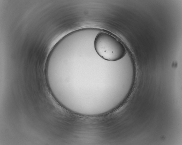 X0000111130885200906301102