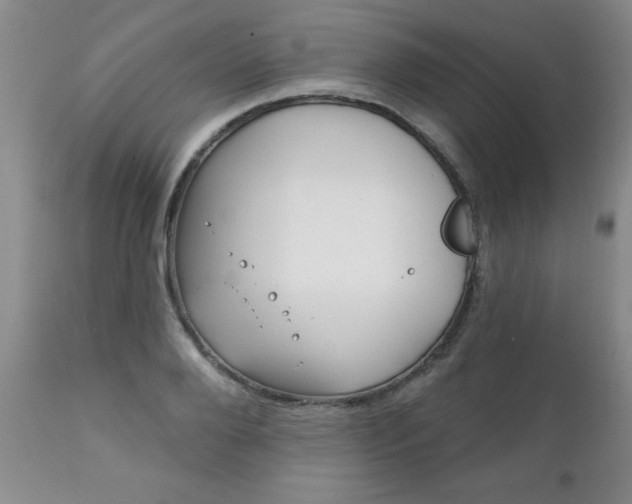 X0000111130888200906301102