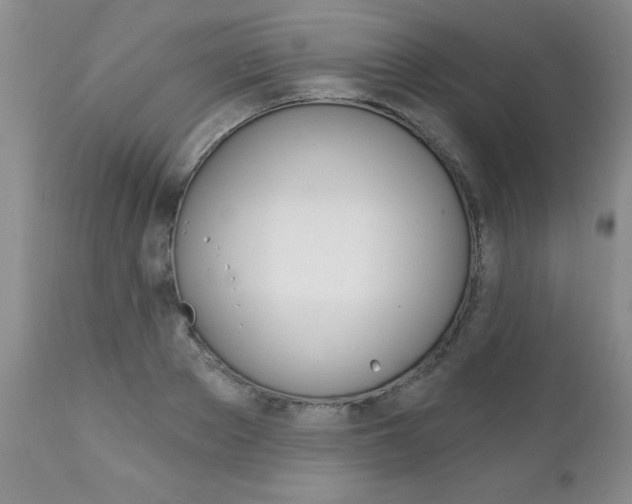 X0000111130889200906301102