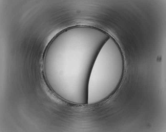 X0000111130891200906301102