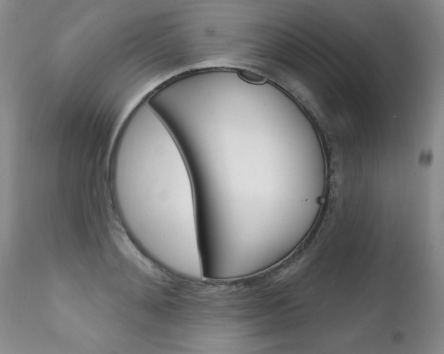 X0000111130892200906301102